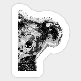 Koala Sticker